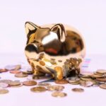 how high yield savings account interest works
